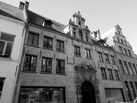 Referentie MONUMENTA BV (vennoten) - bouwhistorisch onderzoek van het beschermd monument De Drie Gulden Leliën te Antwerpen, Mutsaardstraat